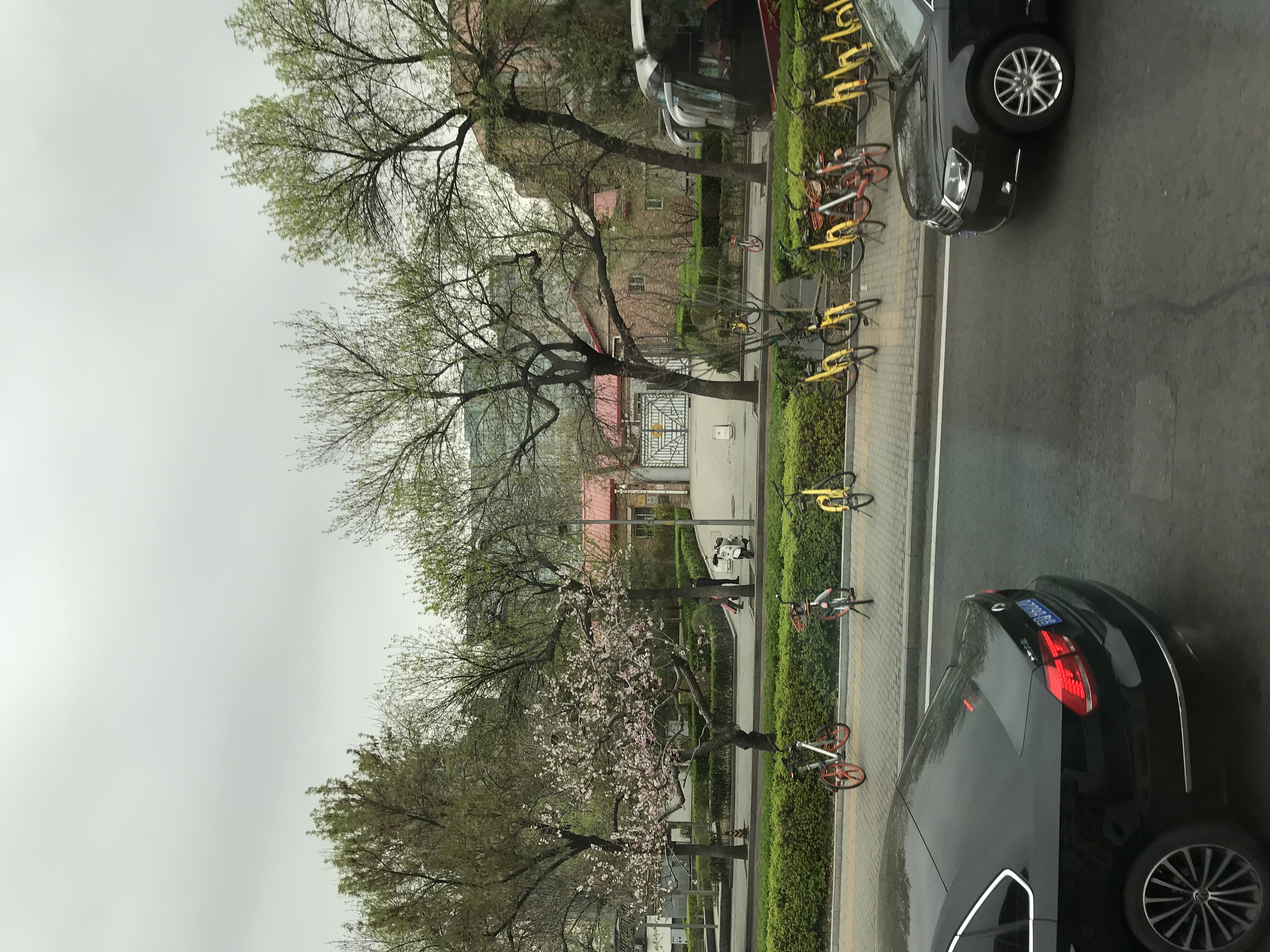 ./2018/03 - Viking China/09 - Beijing Miscellaneous/IMG_5769.JPG